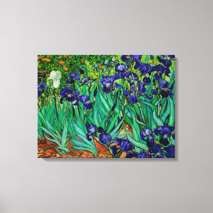 PixDezines van gogh irisar/st. remy Canvastryck