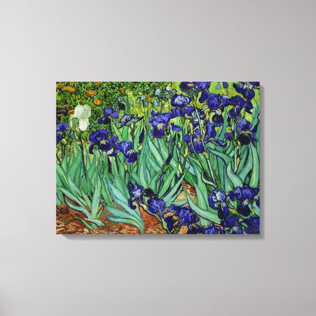 PixDezines van gogh irisar/st. remy Canvastryck (Framsida)