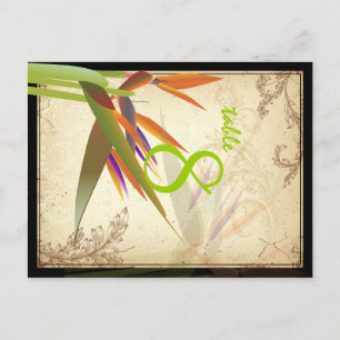 PixDezines vintage bird of paradise/diy font/färg Vykort