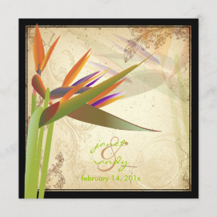 PixDezines VINTAGE BIRD OF PARADISS Inbjudningar