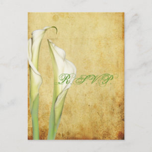 PixDezines Vintage Calla Lily Inbjudan Vykort