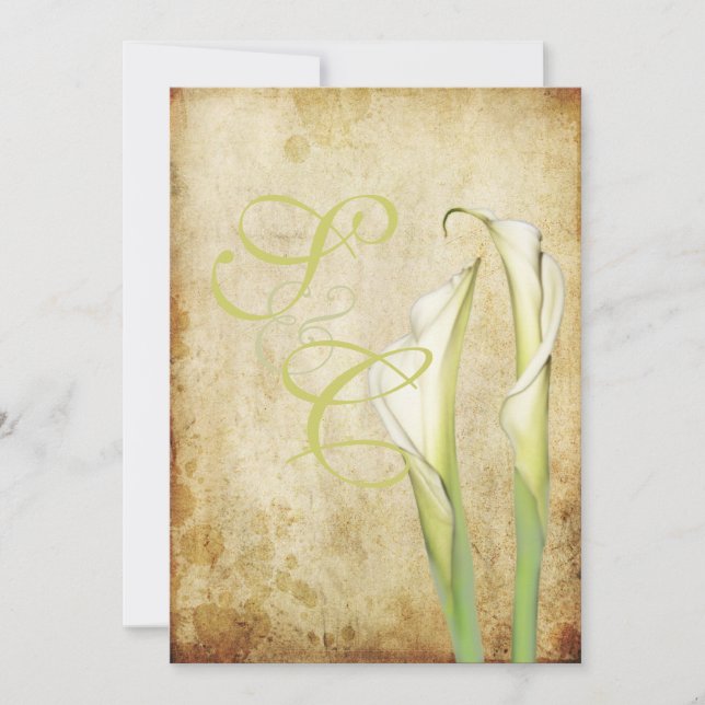 PixDezines Vintage White Calla lilies Inbjudningar (Framsida)