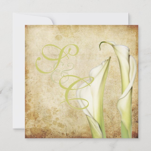 PixDezines Vintage White Calla lilies Inbjudningar (Framsida)