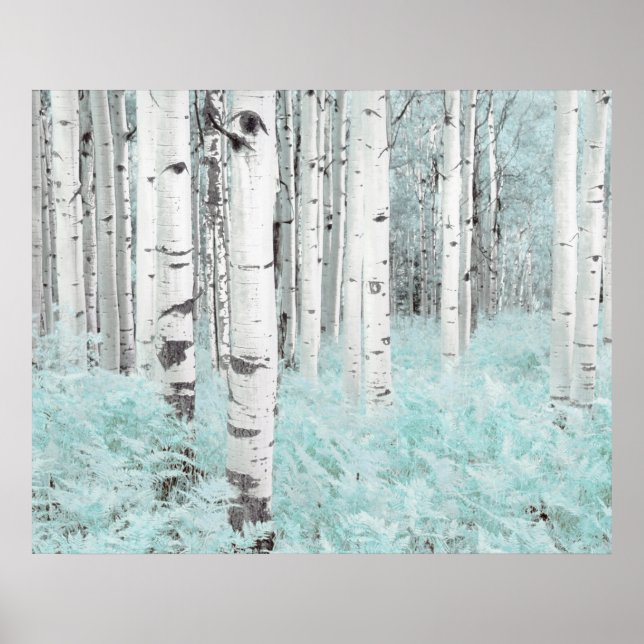 PixDezines Vinter Björkskog Blå Fern Säng Poster (Framsidan)