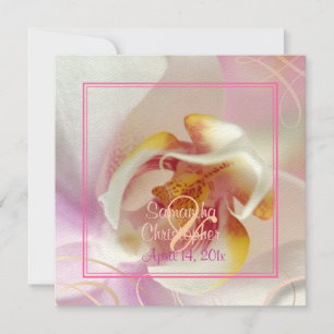 PixDezines vit Orchid Blekens Rosa + Vit Inbjudningar
