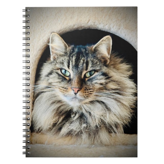 Pixie Spiral Noteboook Anteckningsbok (Framsidan)