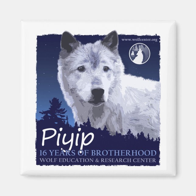 Piyip Magnet (Framsidan)