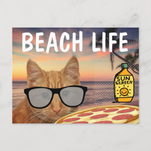 PIZA GINGER CAT BEACH SUNGLASSES POSTCARD VYKORT