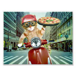 Pizza cat - cat - pizzaleverans fototryck