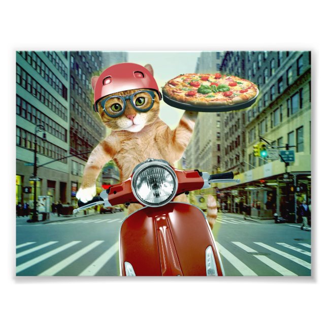 Pizza cat - cat - pizzaleverans fototryck (Framsidan)