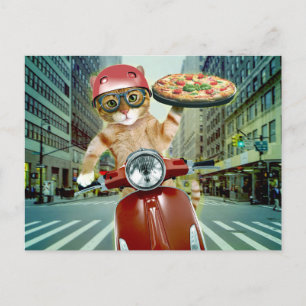 Pizza cat - cat - pizzaleverans vykort