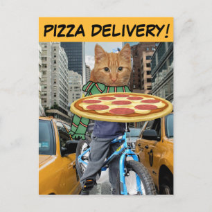 PIZZA LEVERANS! KATT NYC VYKORT