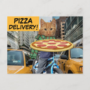 PIZZA LEVERANS! KATT POSTKORT VYKORT