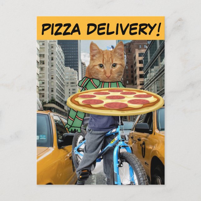 PIZZA LEVERERAR! KATTPOSTKORT VYKORT (Framsida)