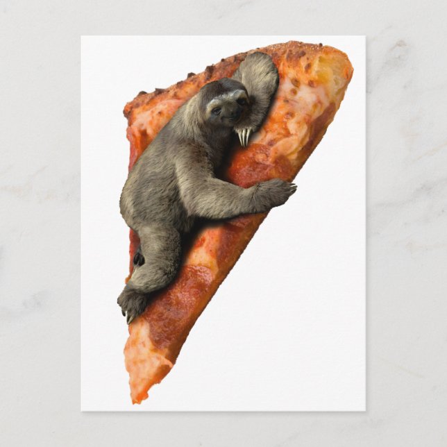 Pizza Sloth Vykort (Framsida)