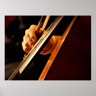 Pizzicato Poster