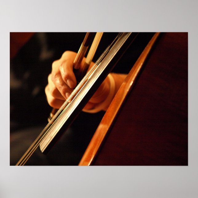 Pizzicato Poster (Framsidan)