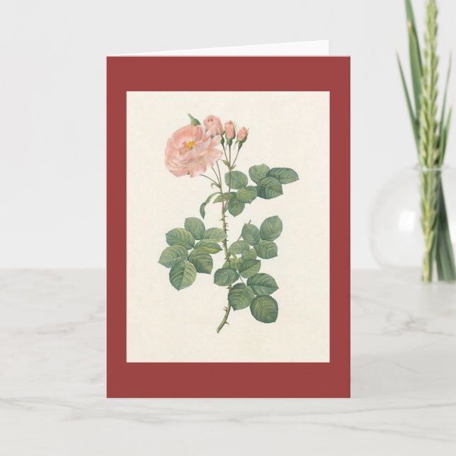 PJ Redoute - Rosa damascenaaurora Kort (Framsida)