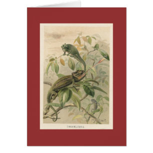 Pj-smed - kameleonter hälsningskort