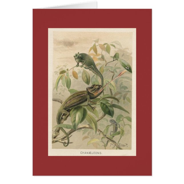 Pj-smed - kameleonter hälsningskort (Framsidan)