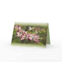 PkDgwood Gren- anpassa alla tillfälle