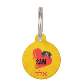 Placa para mascotas, Pequeña, ¨b'li ayin hara¨ Djurbricka