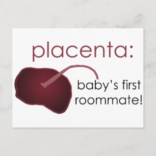 placenta bebis första rumskamrat vykort