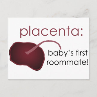 placenta bebis första rumskamrat vykort