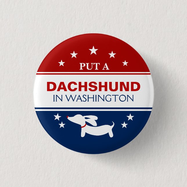 Placera Dachshund i Washingtons politiska knapp (Framsida)