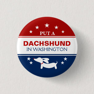 Placera Dachshund i Washingtons politiska knapp