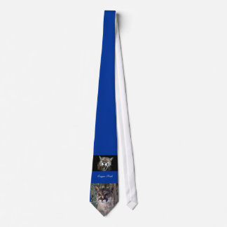 placerad puma, Snaarling puma, pumapride Slips