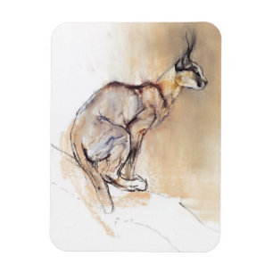 Placerade Caracal 2009 Magnet