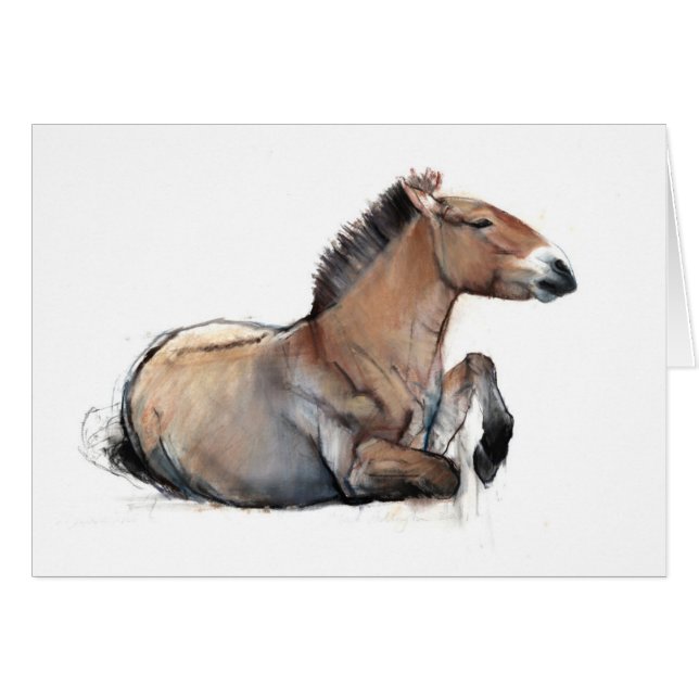 Placerade Przewalski 2011 Hälsningskort (Framsidan Horizontal)