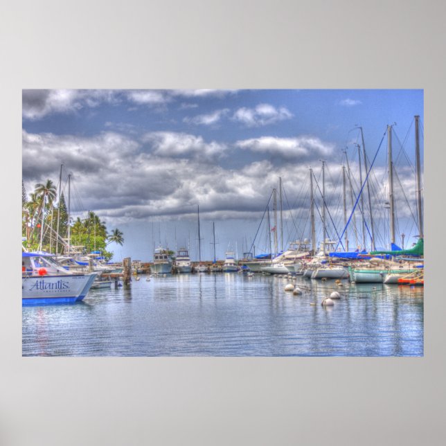 Placid Maui Harbor Poster (Framsidan)