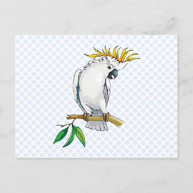 Placido Parrot Vykort (Framsida)