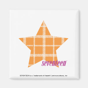 Plädorange 2 magnet