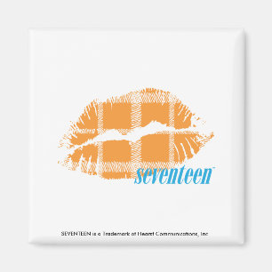 Plädorange Magnet