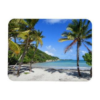 Plage de guadeloupe magnet