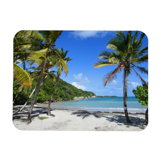 Plage de guadeloupe magnet (Horisontell)