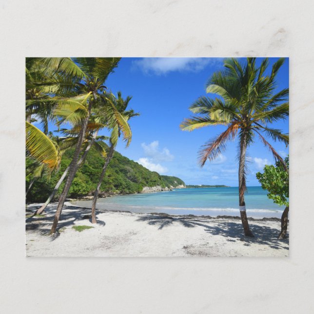 Plage de guadeloupe vykort (Framsida)