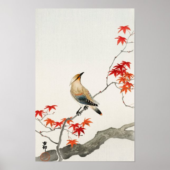Plague Bird on Maple av Ohara Koson Poster (Framsidan)