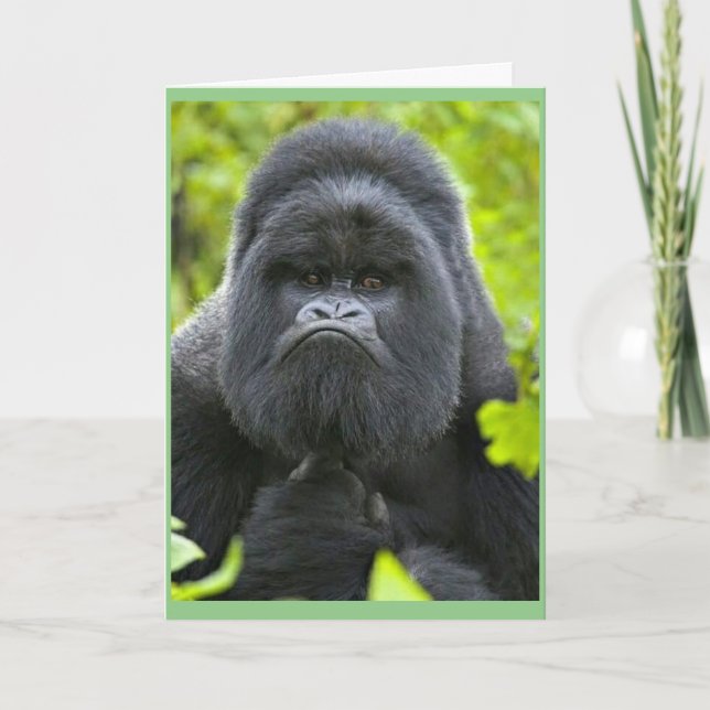 Plague Humor Kort (Framsida)