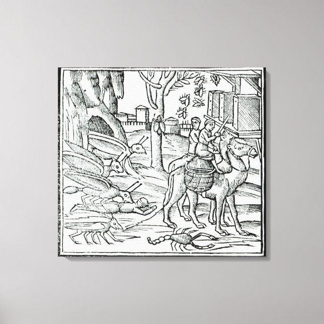 Plague representation, 1572 canvastryck (Framsida)