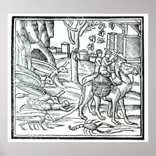 Plague representation, 1572 poster