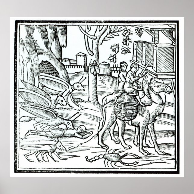 Plague representation, 1572 poster (Framsidan)