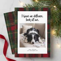 Plaid Rolig Söt Hund Foto Jul Semesterkort
