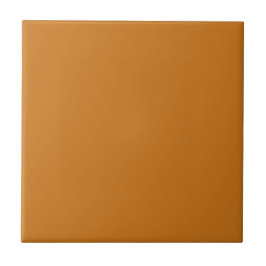 Plain Cinnamon Orange Brown Solid Färg Tile Kakelplatta