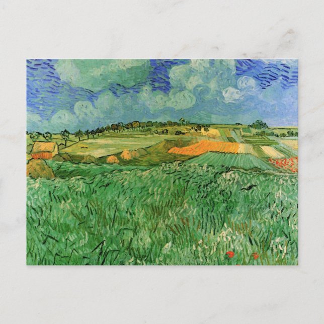 Plain Near Auvers av Vincent van Gogh Vykort (Framsida)