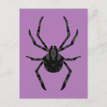 Plain Old Spider