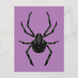 Plain Old Spider Vykort